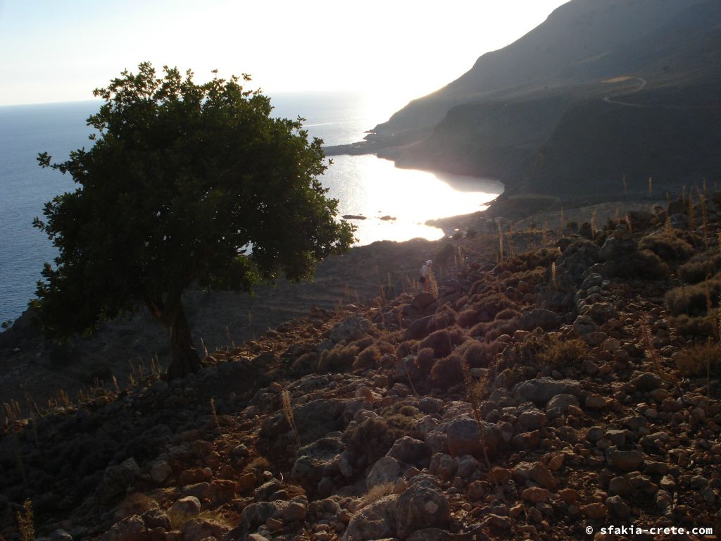 Photo report of a visit around Loutro and Sfakia, October 2007